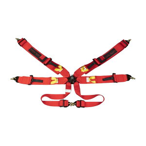 DND Performance Interior@6_[VOn[lX@bh@SFIF؁@FIA 8853 - 2016@V[gxg@3C`@T[Lbg@oPbgV[g@toP@USDM@Red@