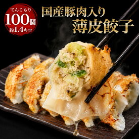 【薄皮黒豚肉入り餃子1.4kg 約100個】約17人前 一龍堂 餃子 ぎょうざ ギョウザ ギョーザ 生餃子 冷凍餃子 冷凍生餃子 大人気冷凍食品 食品 送料無料 惣菜 中華惣菜