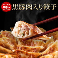 【ショップ・ザ・イヤー2024 受賞】【月間100万個以上完売】 黒豚肉入り餃子100個 1.9キロ 一龍堂 餃子 …