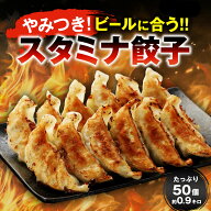 スタミナ餃子50個 餃子 冷凍餃子 生餃子 ぎょうざ ギョウザ ギョーザ 人気冷凍商品 冷凍 冷凍生餃子 簡単…