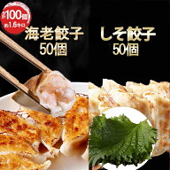 【好評につきSALE延長！】【ショップ・ザ・イヤー2024 受賞】海老餃子50個 しそ餃子50個 一龍堂 しそ餃子…