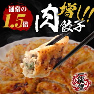 一龍堂 新発売 肉増し餃子100個 餃子 肉餃子 ぎょうざ ギョウザ ギョーザ 冷凍餃子 1.9キロ！ 約16人前 …