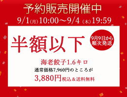 【ショップ・ザ・イヤー2024受賞】【月間約120万個完売】60%以上えび(具)海老エビえび一龍堂餃子ぎょうざギョウザギョーザえび餃子海老餃子冷凍生餃子冷凍食品冷凍餃子鮮度抜群ぷりぷり送料無料
