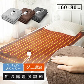 【冬の大特価セールxポイント5倍】電気毛布 敷き 160x80cm 電気ひざ掛け 電気ブランケット 電気敷き 洗える ふかふか ソファ 30-55℃ 無段階調節 1-12h切タイマー ダニ退治 コントローラ付き 省エネ 過熱保護 冷え対策 暖房器具 防寒グッズ 節電 あったかグッズ