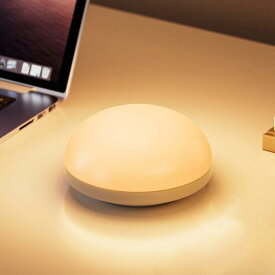 Iseebiz ナイトライト 授乳ライト タッチ ベッドサイドランプ 間接照明 枕元 ライト 明るさ調整可能 USB充電式 センサー 小型 無段階調光 2種類色温度 寝室 照明 ライト 読書 ギフト
