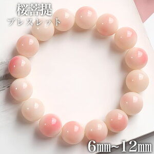  uXbg 6mm 8mm 10mm 12mm zCgsNJZhj[(ʐ) uXbg VR p[Xg[  ANZT[ v[g Mtg 1 lԊ֌W̉P bNX R~jP