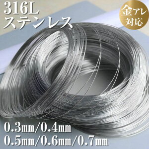 316LT[WJXeX C[ ANZT[p ANZT[p[c nhCh Ntg DIY | f ޗ 10m 0.3mm 0.4mm 0.5mm 0.6mm 0.7mm AM[Ή