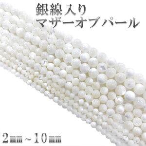 白蝶貝 ブレスレットの人気商品・通販・価格比較 - 価格.com