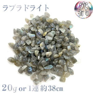 yzuhCg VRłl̗lɋPI 20g܂1A38cm VR nhChf p[c