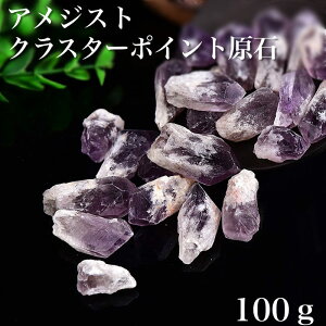 y΁zAWXgNX^[|Cg100g  VR [ \ ANZT[ENtg zRN^[ Xs`A