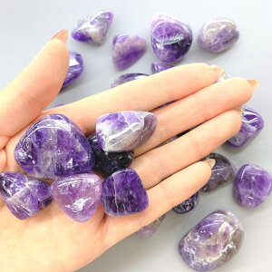 21��� �e��V�R�΂������ ���� �򉻗p ���W���p DIY�n���h���C�h ���� �p���[�X�g�[���א� �嗱 �V�R ������� �^�C�K�[�A�C ���s�X���Y�� �^�[�R�C�Y �I�u�V�f�B�A�� ���[�Y�N�H�[�c �A��