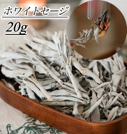 ホワイトセージ【20g】浄化用 エクストラ・ホワイトセージ カリフォルニア産 無農薬 リーフ 天然 天然石…