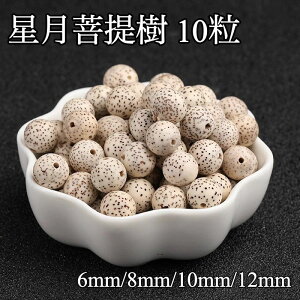  ڂ  V  10  Y gq  f p[c  VRΉ p[Xg[ uXbg uX ۋ  6mm/8mm/10mm/12mm  