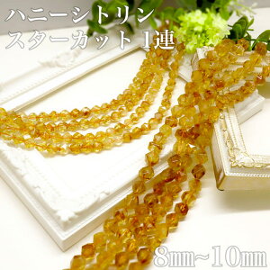 nj[VgX^[Jbg 1A A A t@gVg VR ANZT[ v[g p[Xg[  DIYANZT[ p[Xg[uXbg  sAX lbN