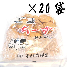 宇部煎餅 ごまちーずせんべい 120g×20袋 南部煎餅 【南部せんべい 岩手】