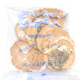 宇部煎餅 こわれせんべい 180g 自家用煎餅 南部煎餅 岩手