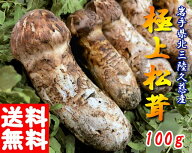 【予約販売】松茸国産(まつたけ) 極上松茸(マツタケ) 岩手 北三陸 久慈産 まつたけ 100g　つぼみ・開きミ…