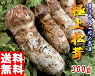 【1，2日以内に発送】松茸国産（まつたけ）極上松茸 岩手 北三陸 久慈産 300g 　つぼみ・開きミックス【…