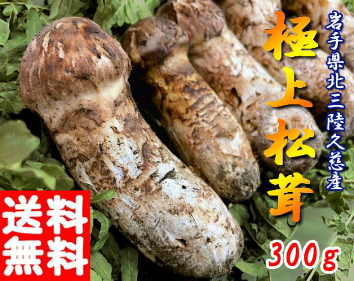 楽天市場】松茸国産（まつたけ）極上松茸 岩手 北三陸 久慈産 300g 