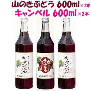 y RԂǂW[XzK{X R̂ԂǂELxZbg@600ml×3{yMtgΉzy̓z