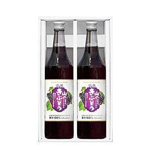 yzK{X nR̂Ԃǂ 600ml×2{yW[Xzyމ@jMtgzy̓z