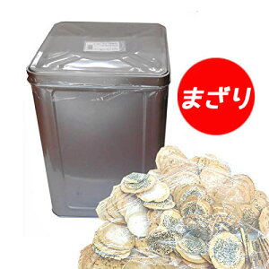 y암 zFݓX܂ l 2.2kg 암ׂ `̖ KyΕz