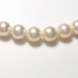 p[^lbNXy{YzyzyƎAwAՁAtH[}z