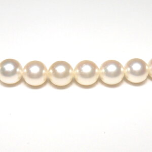 p[{^lbNXyӕʏtzy{YzyzyRCPzyPearl neckzyƎAwAՁAtH[}z