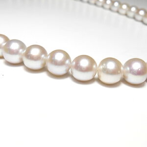 p[^lbNXyzyPearl neckzyƎAwAՁAtH[}z