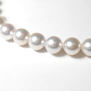 p[^lbNXyzyPearl neckzyƎAwAՁAtH[}z