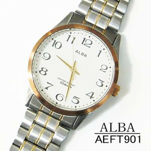 [�Z�C�R�[�E�H�b�`] �r���v �A���o ���퐶���p�����h��(10�C��) AEFT901 �X�e�����X