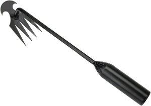 蓮 蓹 L Ўp  Ԓd |  蓹 G | K[fjO  G΍