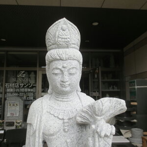 ϐF ωF 72cm 2 ̂ ω ω ωl e 