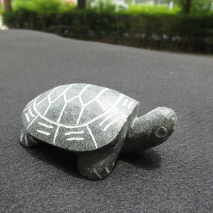 ΃J T qT  ݂ǂ u i turtle-M u IuWF   e   ^[pbNvX