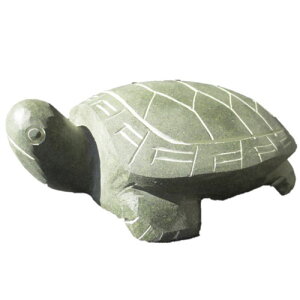 ΃J S23cm T  u i  j  VRe   Turtle-L23