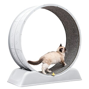 SunStarsPets LbgzC[ LpjO}V yʃvX`bNf gݗĊȒP É݌v L̉^sƃXgXU