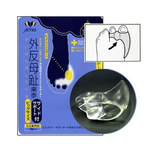 ANeBJ Oy rbOTChT|[gt No.348yACTIKA  w Od΍ ̒ɂ݁z