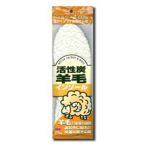 ANeBJ Yr C\[ No.500yACTIKA C u[c ~ h E[ L z