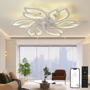 y2Nۏ؁zV[Ot@Cg F 6iK V[Ot@ 8 10 12 LED t@tV[OCg  k t@tƖ É R DC[^[ @ T[