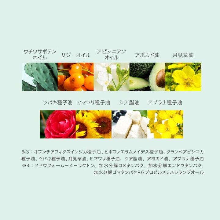 楽天市場 Ems デンキブラシ ヴィーガンシャンプー ヘアケア 頭皮ケア セット Bellcida Viject スカルプケアセット サンスマルシェ 楽天市場店