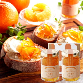 お歳暮 ジャム ギフト 送料無料 食べ物 甘夏マーマレード150g×2個入セット ギフト プレゼント お試し価格鹿児島県産甘夏 マーマレード 国産 お引越し ギフト 内祝 お礼 お返し プチギフト 小分け かわいい 瓶入九州