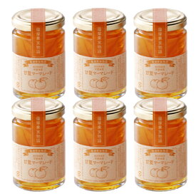 楽天市場 福袋 夏 食品 の通販 楽天市場 福袋 夏 食品 の通販