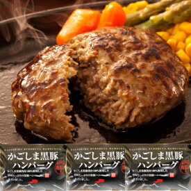 送料無料 鹿児島 黒豚 ハンバーグ （100g×2個入×3パック）お取り寄せ グルメ 帰省 土産 鹿児島 黒豚 ハンバーグ お歳暮 ギフト お年賀 冷凍 おかず 惣菜 仕送り お弁当 ギフト 便利な 小分け