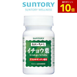 yP10{102709:59܂ŁzC`Et Nn[u 90(1) Tg[ r^~C r^~E Tvg Tv