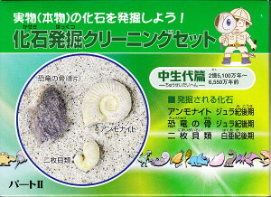 化石 セット 知育玩具の人気商品 通販 価格比較 価格 Com