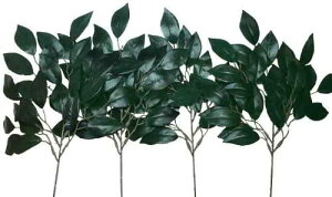 _`^G}V-CAT A[gt[ ́uv  ΁i4{ZbgjH36cm^ YF{