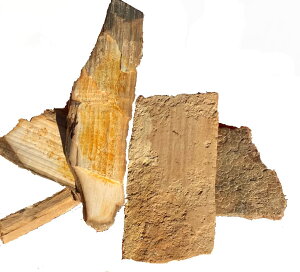 SCIENCE ΕW{u}X̉ifЁj̉ 30mmiSiberiaj1NO vIWiW{P[X