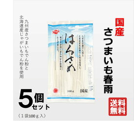国産 【はるさめ100g 5袋セット】 国産はるさめ さつまいもでん粉 じゃがいもでん粉使用 送料無料 メーカー直送 サナス