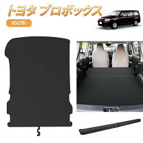 楽天市場】プロボックス カスタム（フロアマット｜アクセサリー）：車 