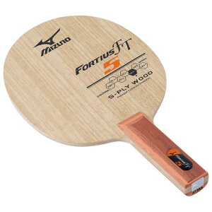 ~Ym tHeBEX FT5 ST 83GTT60554 싅Pbg mizuno